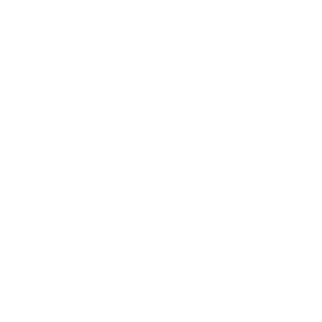 Das Logo von Bolanz