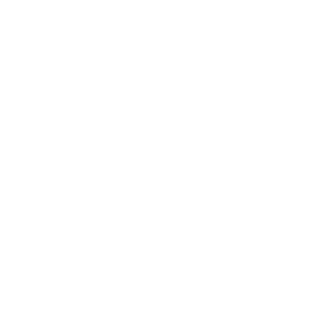 Das Logo von Fußball mit Vision