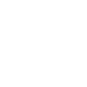 Das Logo von IDEA