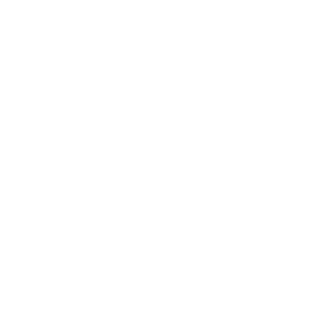 Das Logo von Life Lion