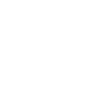 Das Logo von Martin Bucer Seminar
