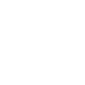 Das Logo von Power Ladies