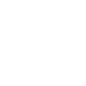 Das Logo von Theologisches Seminar Adelshofen