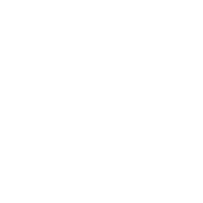 Das Logo von Theologisches Seminar Chrischona
