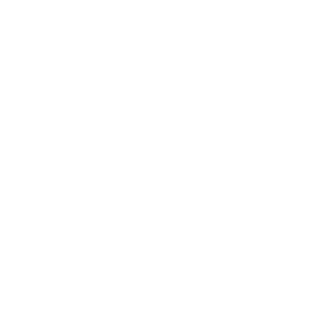 Das Logo von WSS aktiv beraten