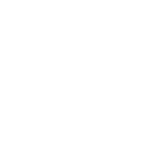 Das Logo von Theologisches Seminar Adelshofen