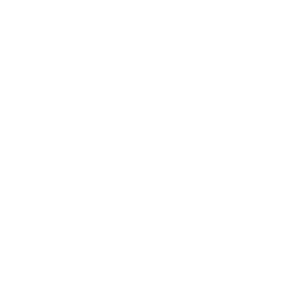Das Logo des Bibelseminar Bonn